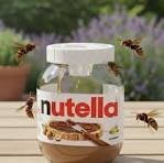 Piège à frelons (lot de 5 pièges)